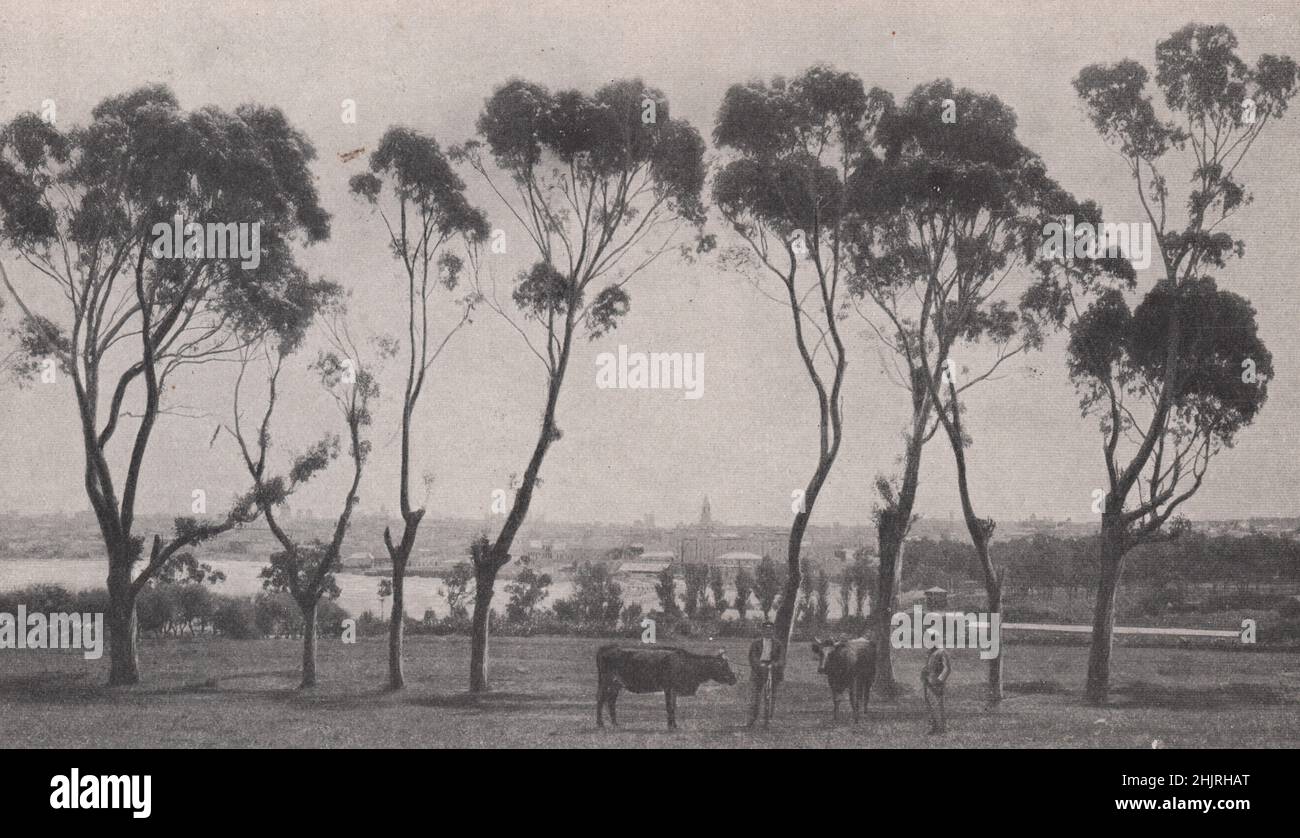 Playa Ramirez and part of the sea front from the Parque Urbano. Uruguay. Montevideo (1923) Stock Photo