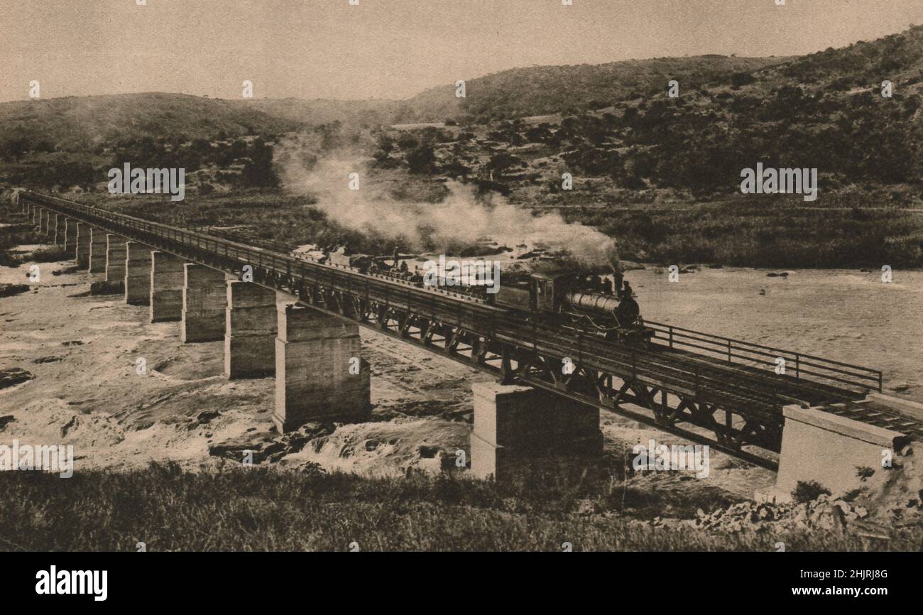 This great railway bridge spans the impetuous flood of the Tugela River near its outlet into the Indian Ocean. South Africa. Natal (1923) Stock Photo