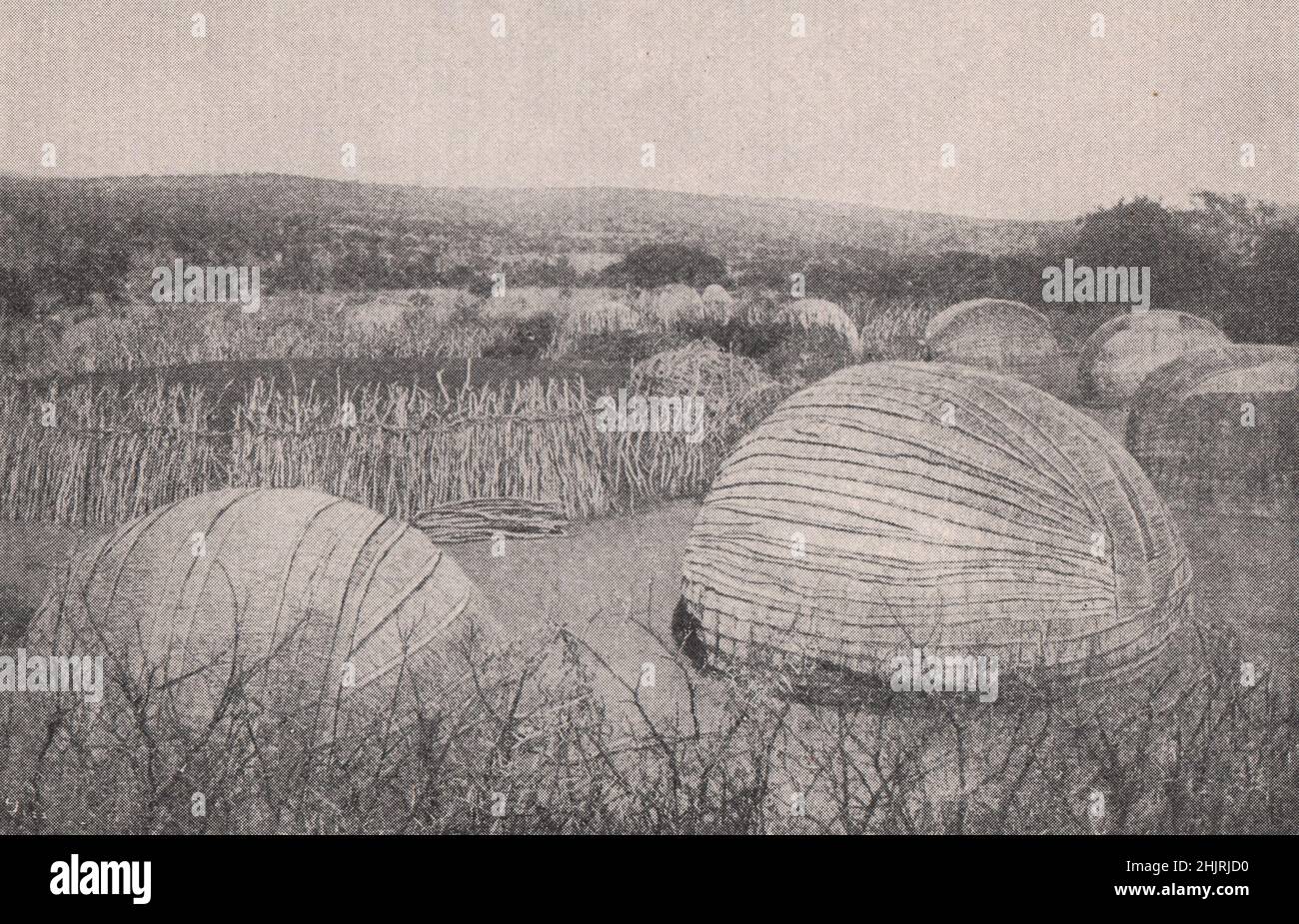 Mat-Covered Zulu Kraal in the Natal ' Thorn Country '. South Africa (1923) Stock Photo