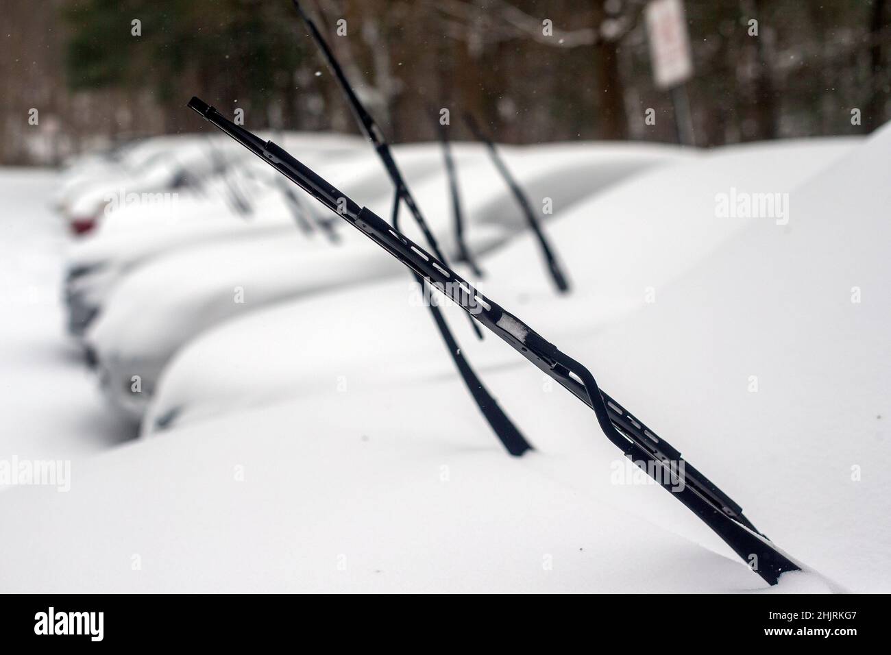 Wipers hires stock photography and images Alamy