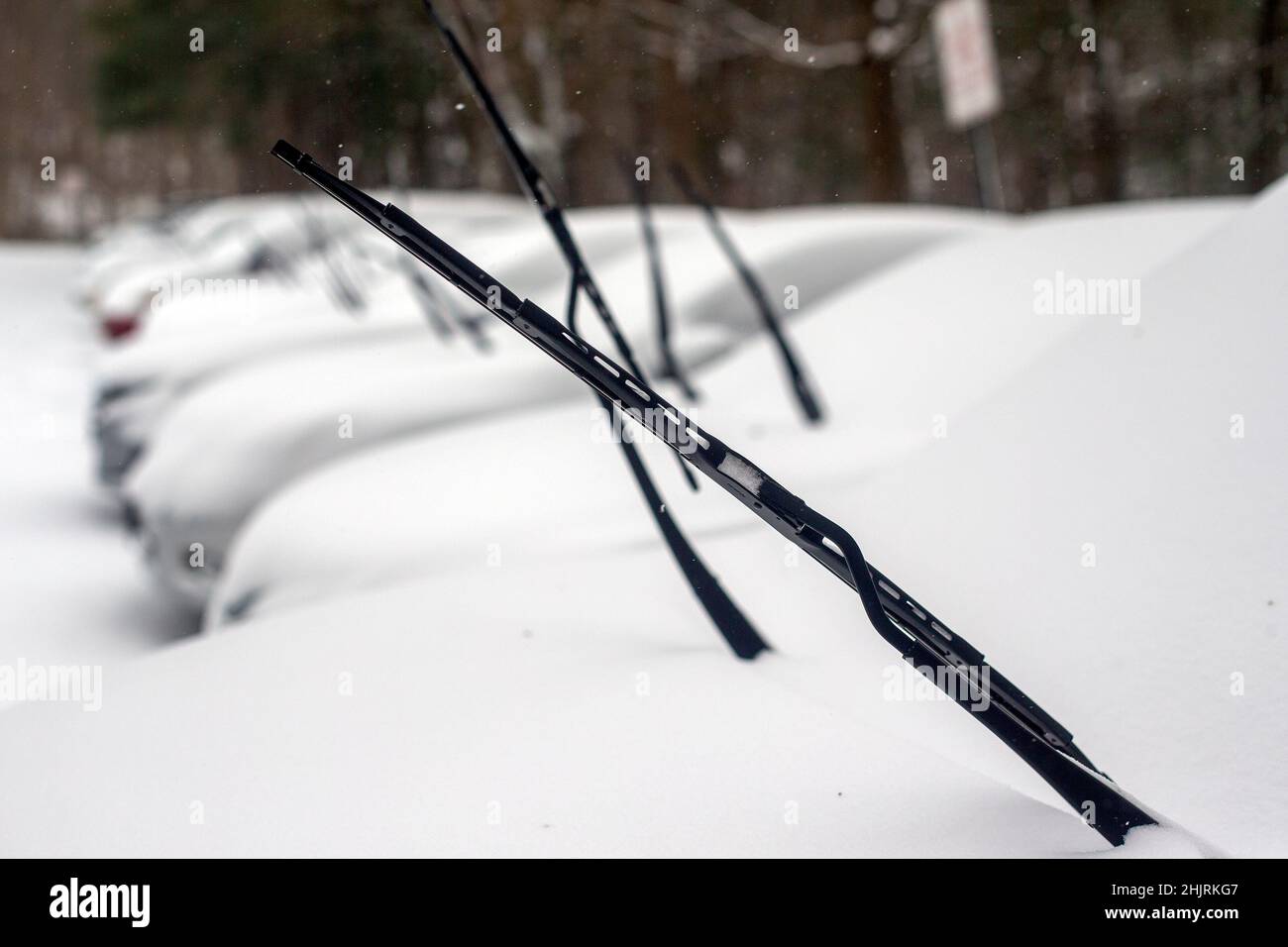 Cars with their windshield wipers up to prevent icing during a snow storm Stock Photo