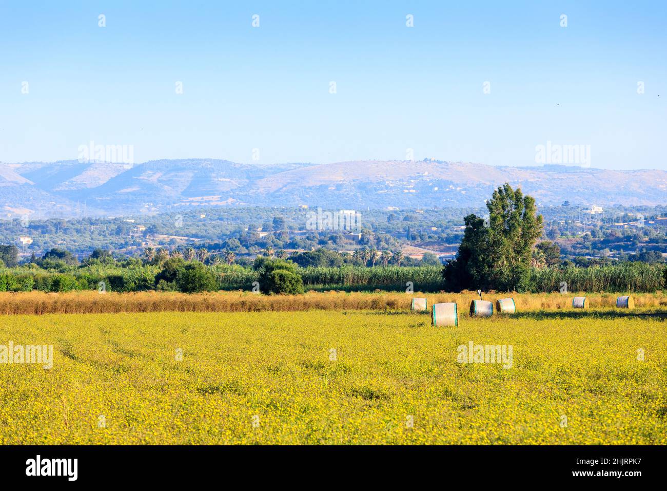 Countryside near Noto, Sicily, Italy Stock Photo