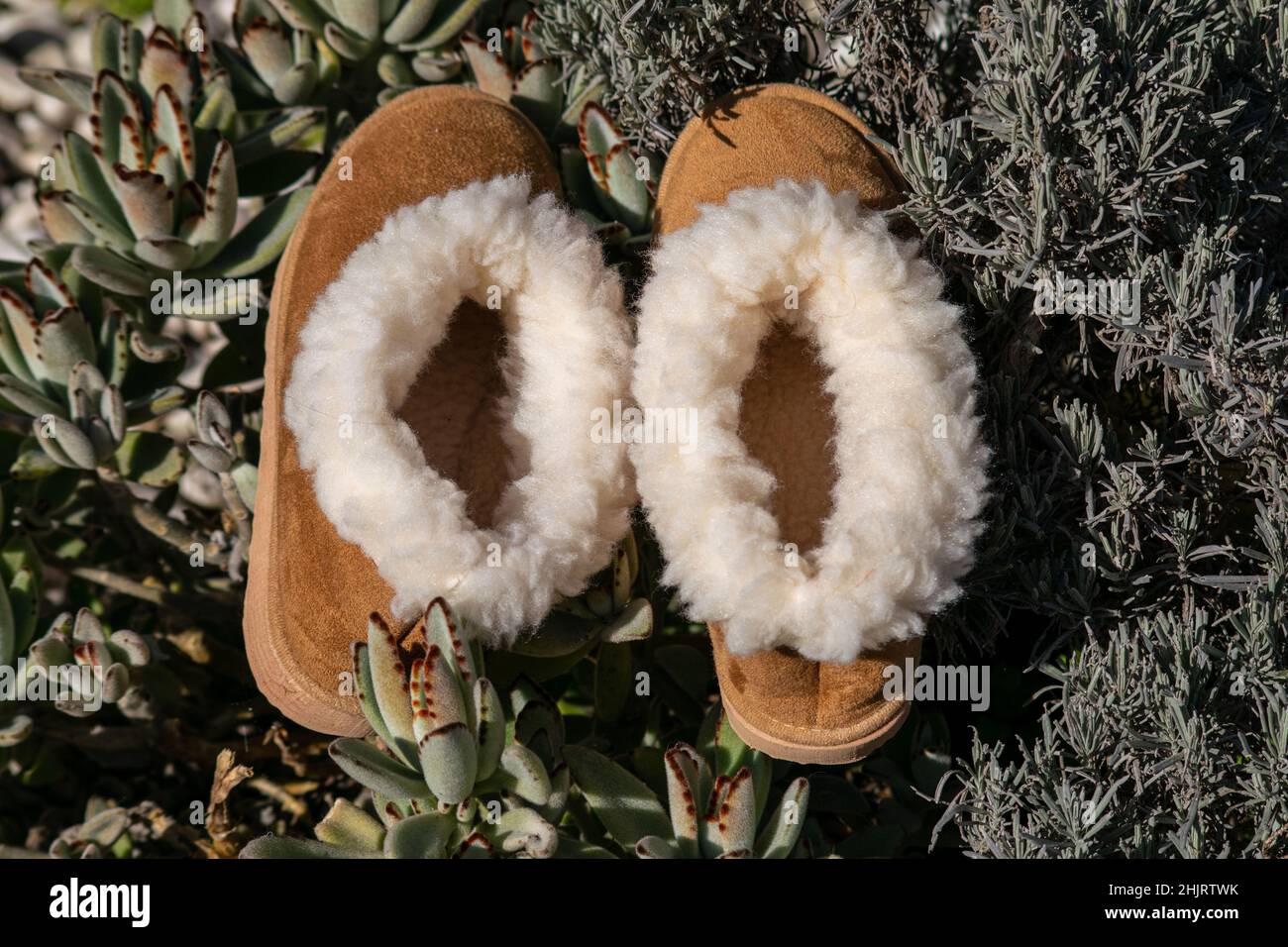 Pantufas hi-res stock photography and images - Alamy