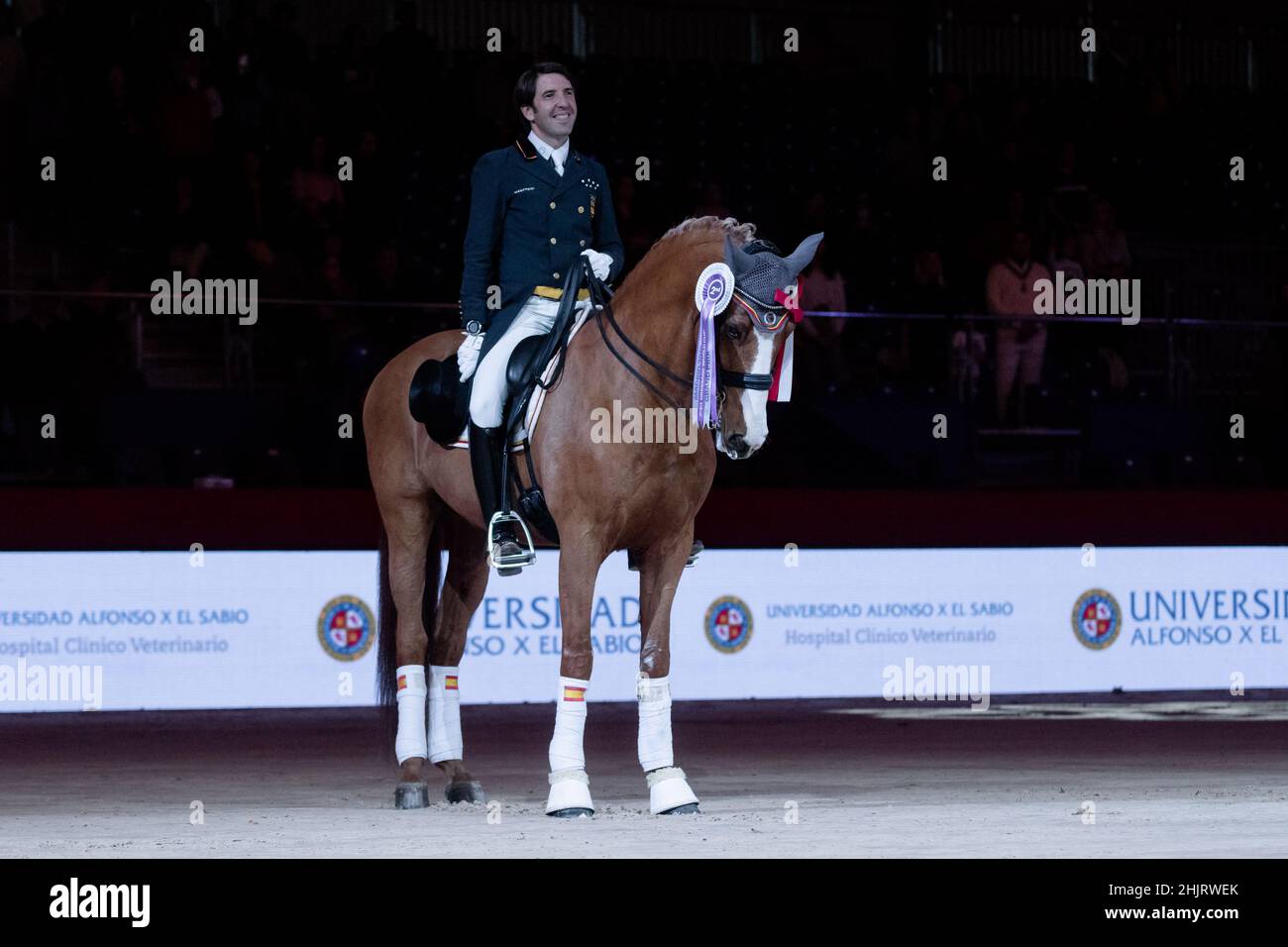 Claudio Castilla (ESP) & Alcaide (LUS) during Longines FEI World Cup 2019 on November 30 2019 in Madrid Horse Week, Spain Stock Photo