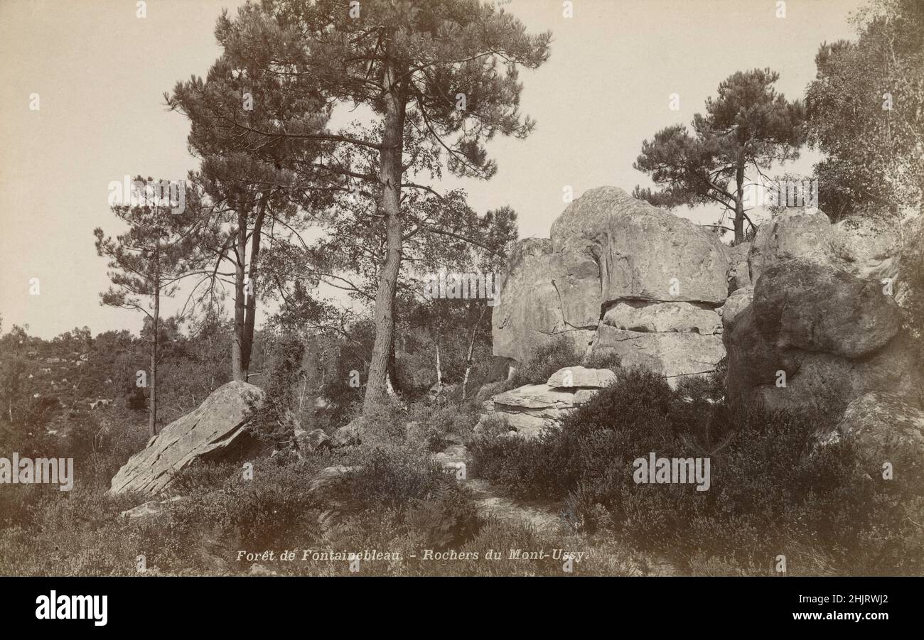Le Nid de l'Aigle  Vintage albumen print. France Forêt de Fontainebleau 