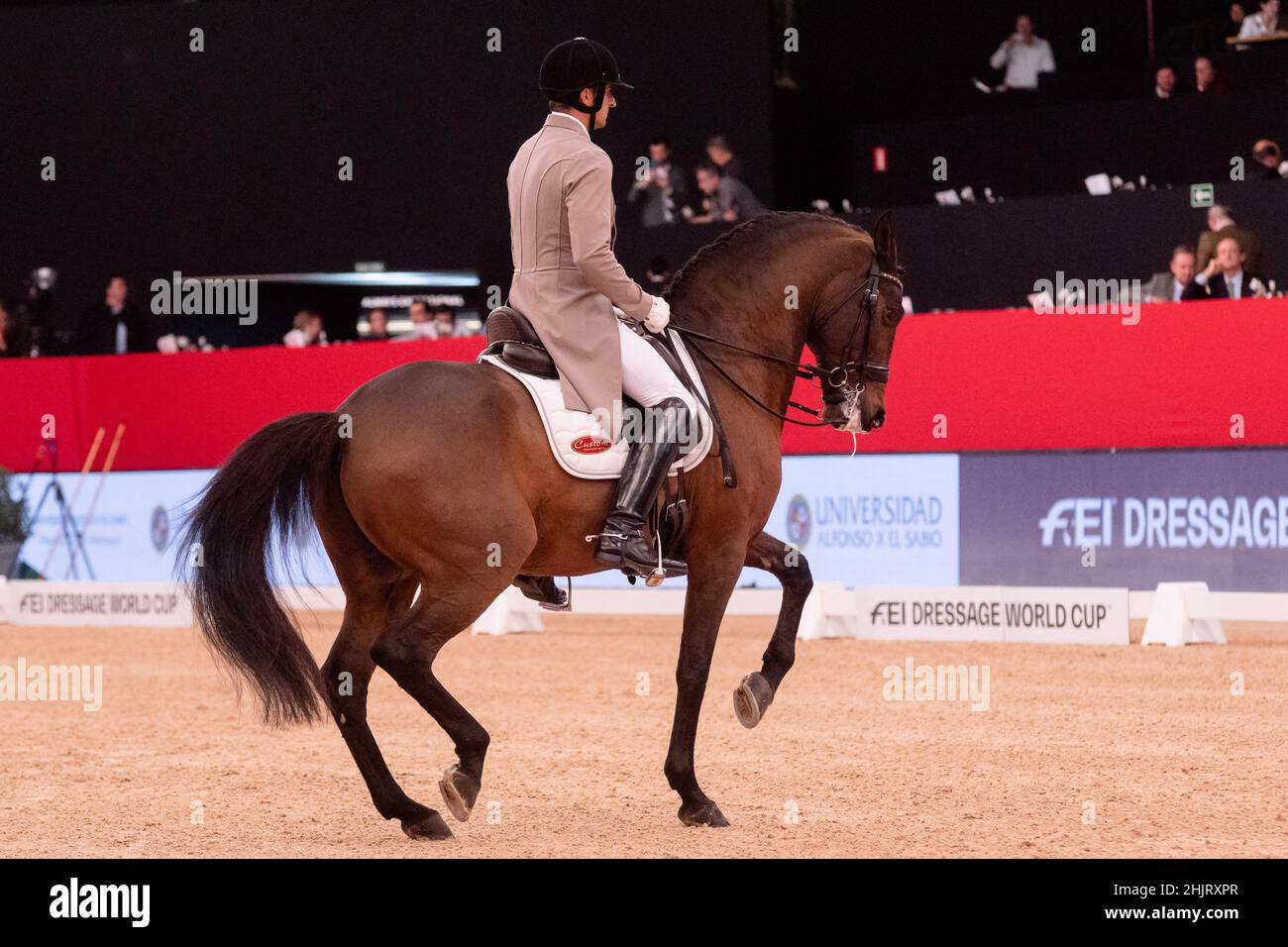 Daniel Martin Dockx (ESP) with Manchego ARB (PRE) during Longines FEI World Cup 2019 on November 30 2019 in Madrid Horse Week, Spain Stock Photo