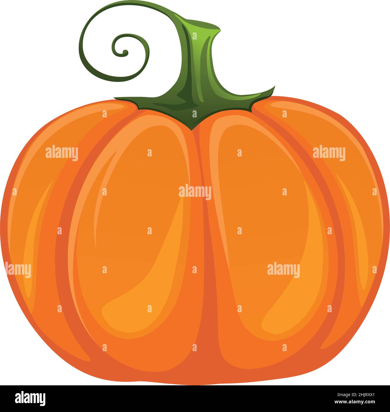 Realistic fresh ripe pumpkin isolated on white background - Vector ...
