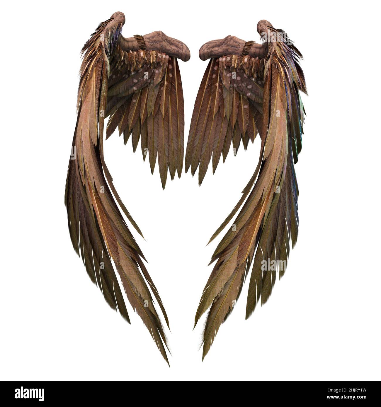 Pair of isolated angel wings with 3D feathers on white background, 3D  Illustration, 3D Rendering Stock Photo - Alamy