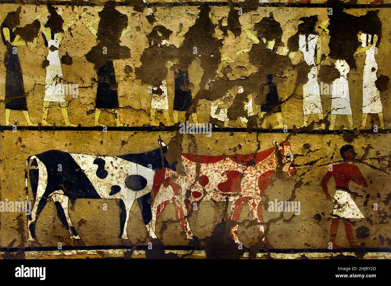 Upper part Mourning Scene, Funerary lamentation - Bottom part  cattle driver with two oxen, Thebes, Tempera painting, First Intermediate Period, Gebelein,Tomb Of Iti and Neferu ( 2118-1980 BC )  Egypt (Museo Egizio di Torino Italy) Stock Photo