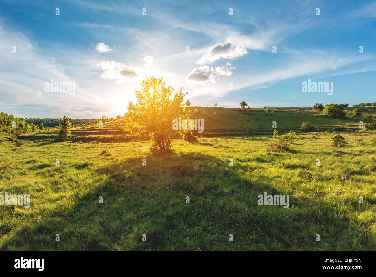 green meadow with hills and trees in Ukraine Stock Photo Alamy
