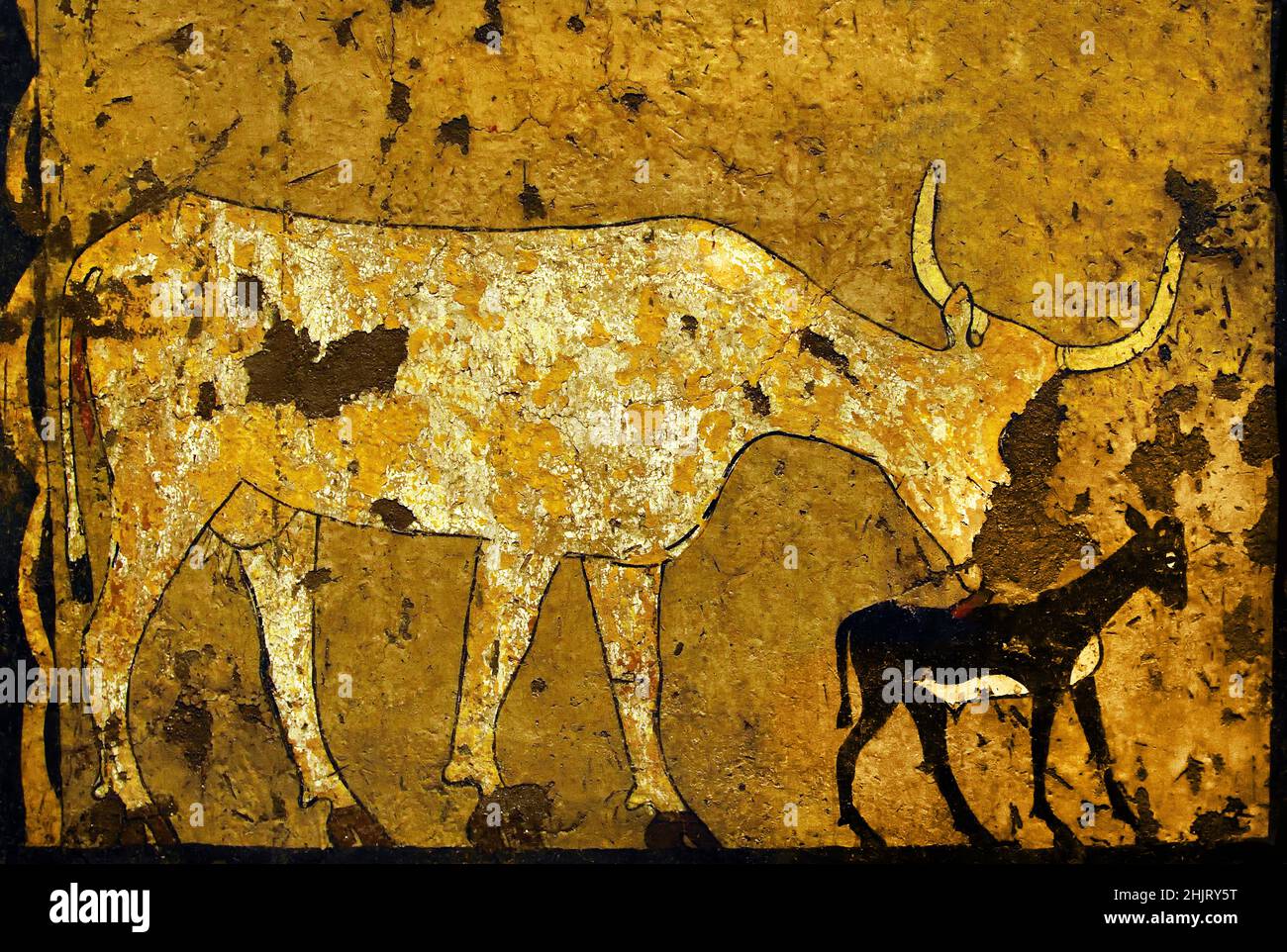 The calf and its mother, Cow is licking a newborn calf, Egypt Tempera ...