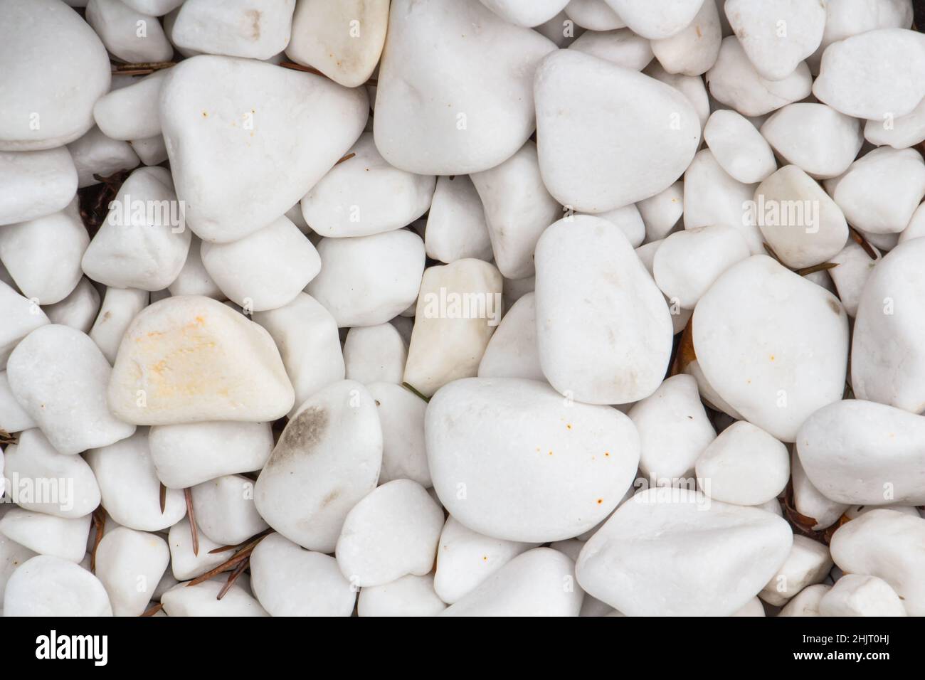 white decorative pebbles, copy space, place for text Stock Photo