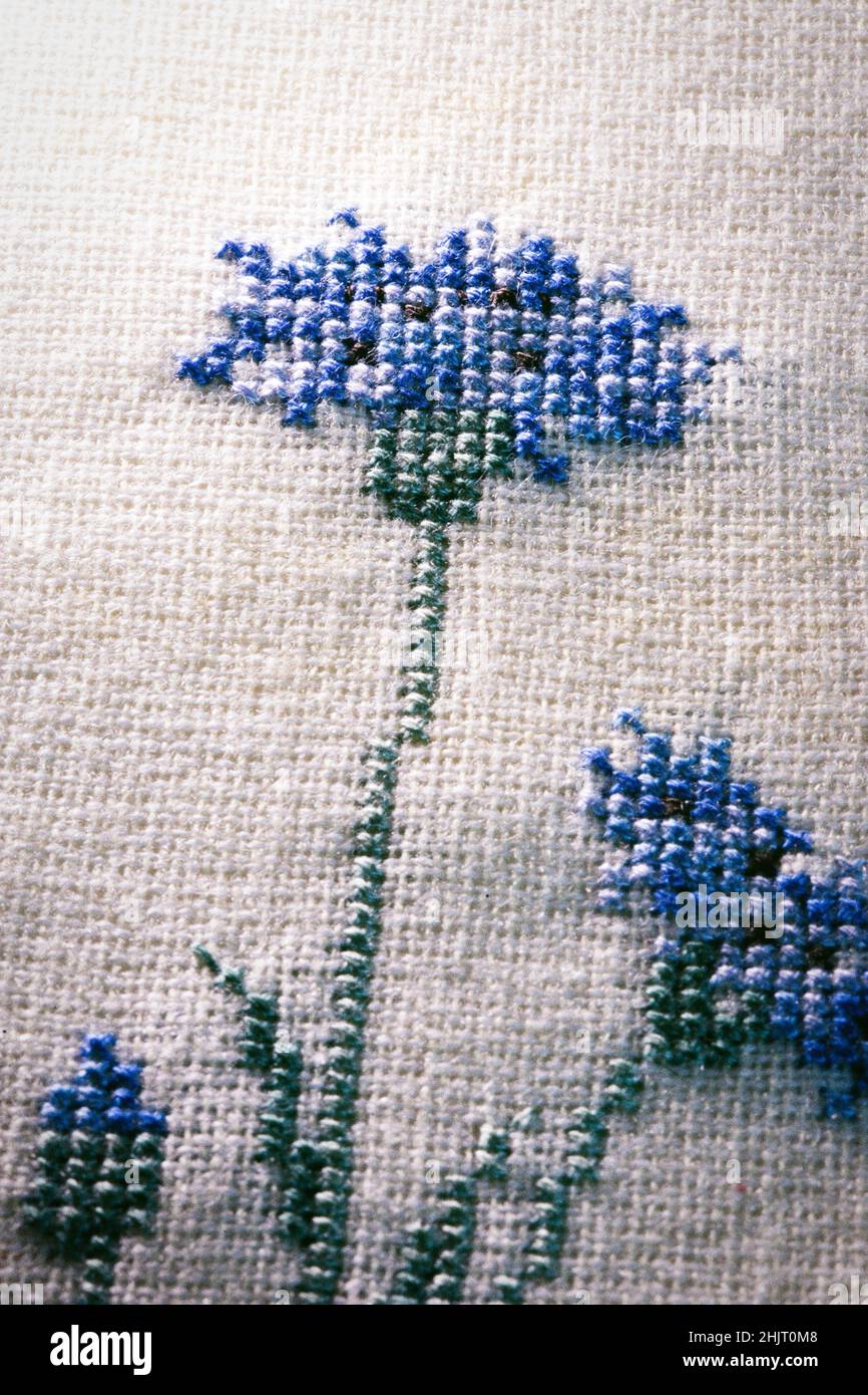 Counted cross stitched flower motif detail, 1980s Stock Photo