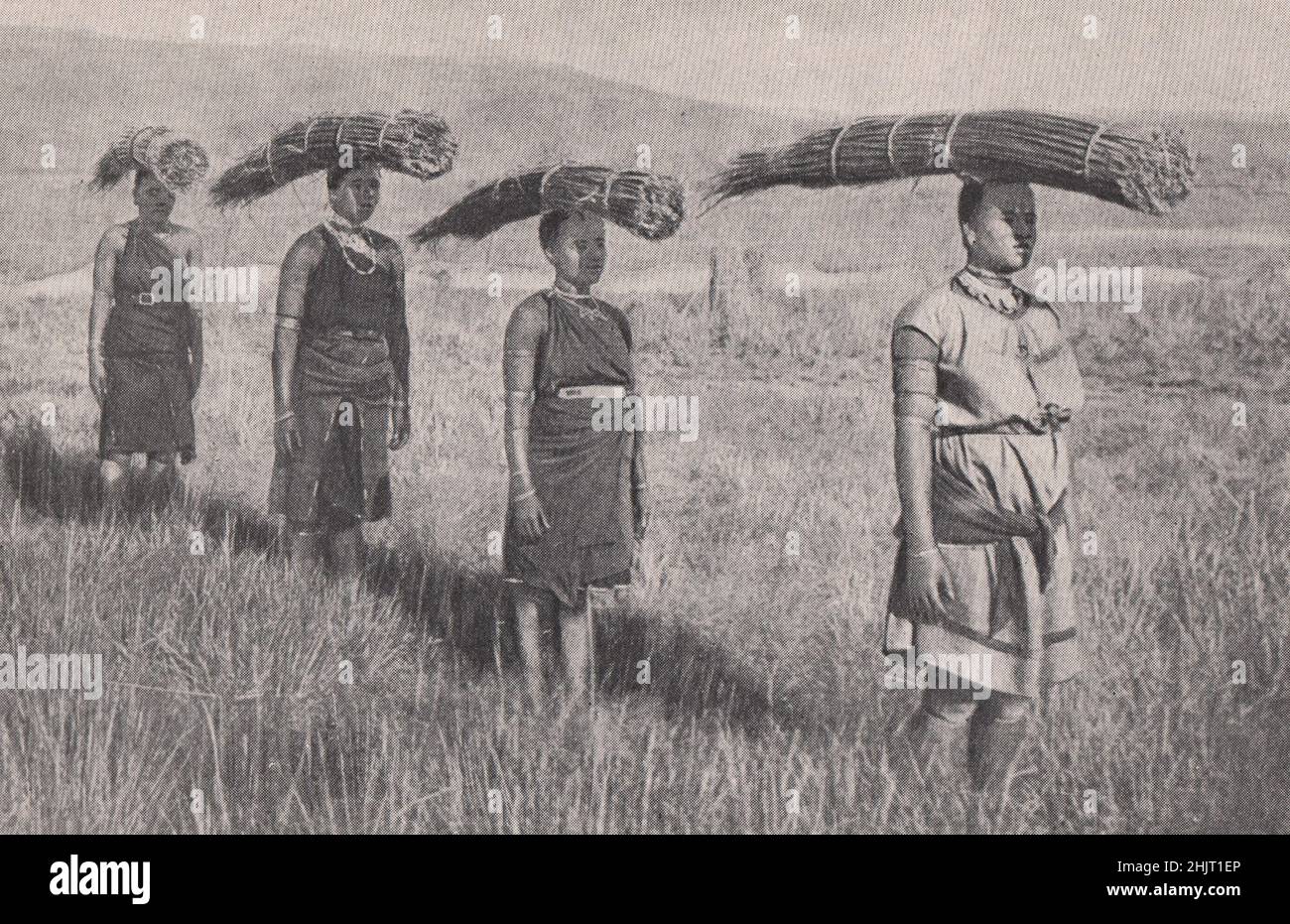South Africa: Native women carrying bundles of grass (1923) Stock Photo