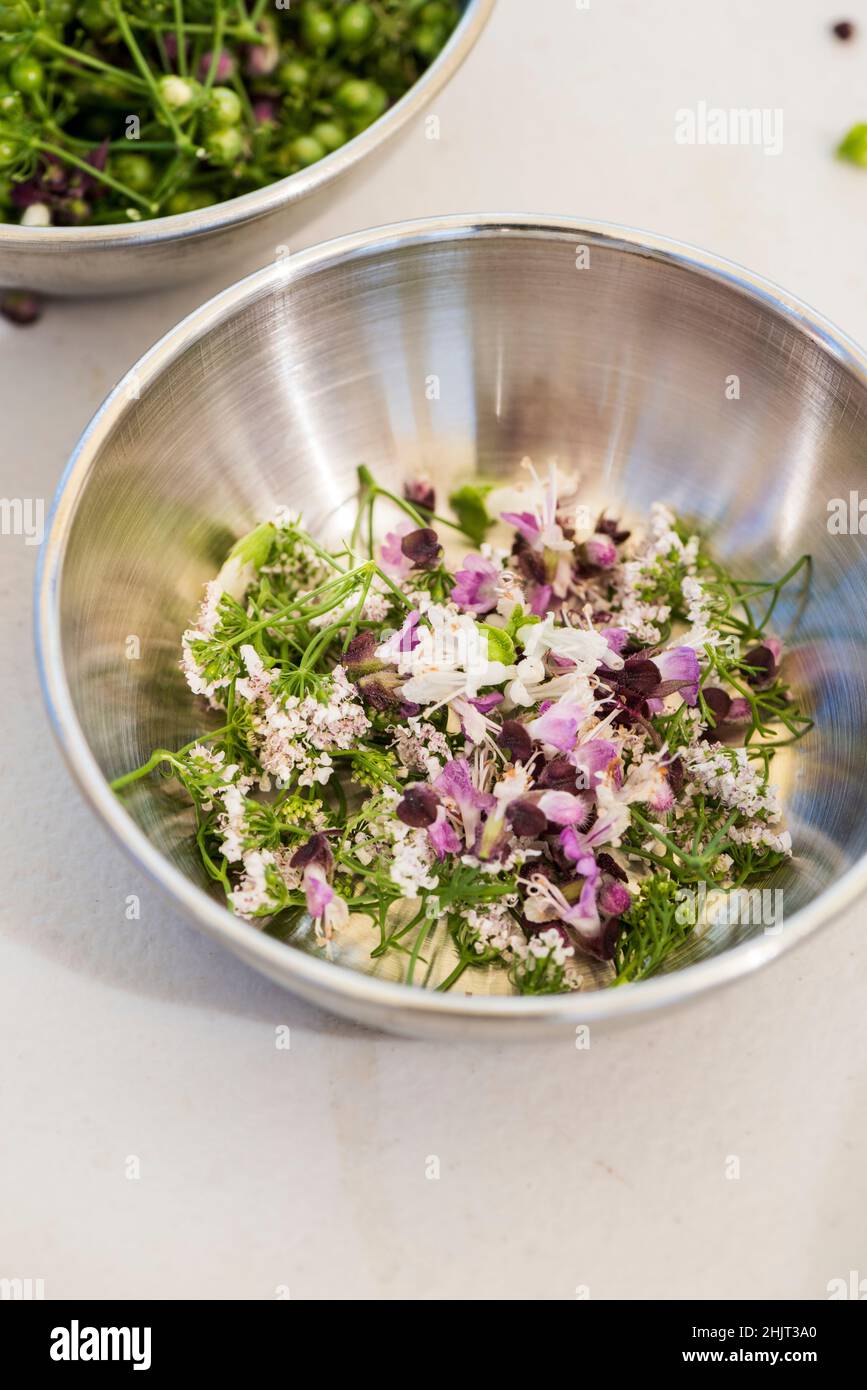 Pinch bowl with cilantro and basil flowers Stock Photo Alamy