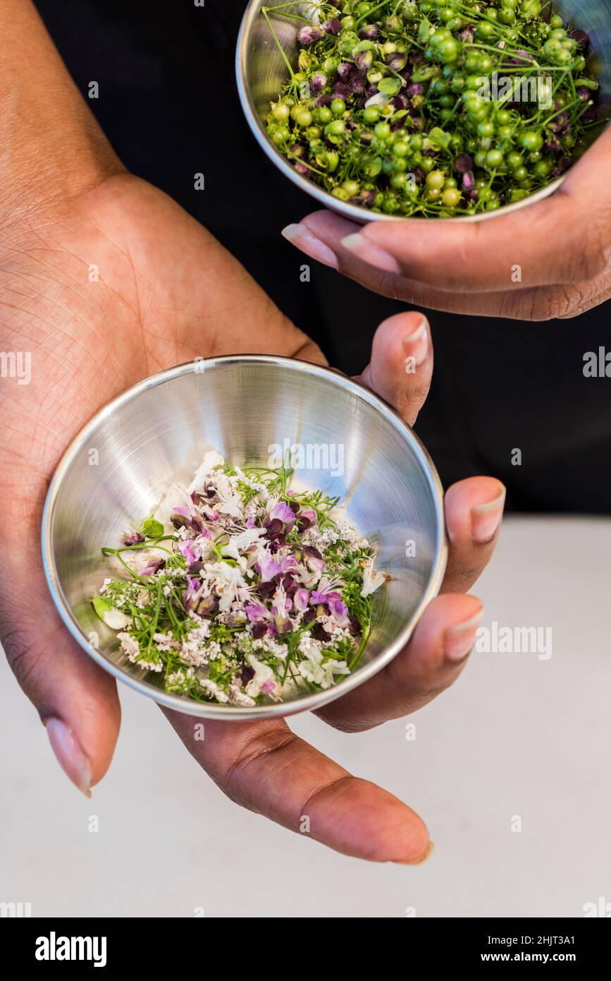 Pinch bowls with basil and cilantro flowers and berries Stock Photo