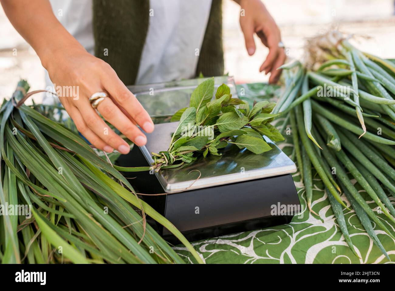 Weighing bundle of basil on farm stand scale Stock Photo