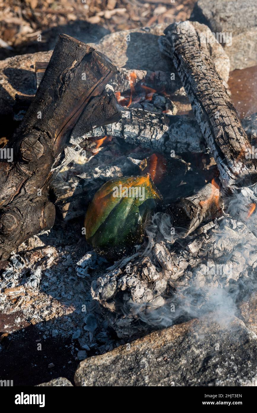 Acorn squash cooking directly on an open fire Stock Photo