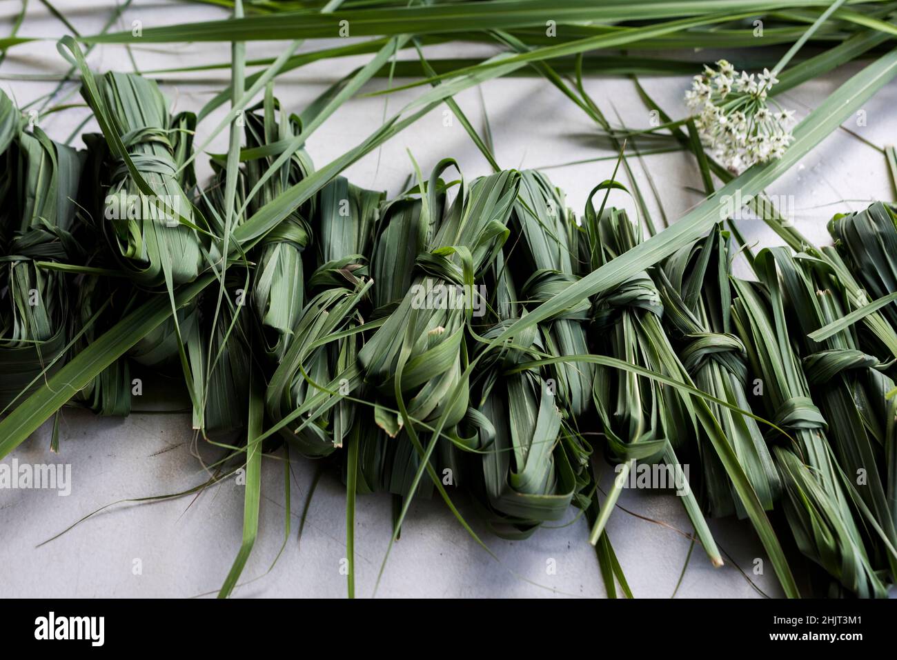 bundles of lemongrass on urban farm table Stock Photo