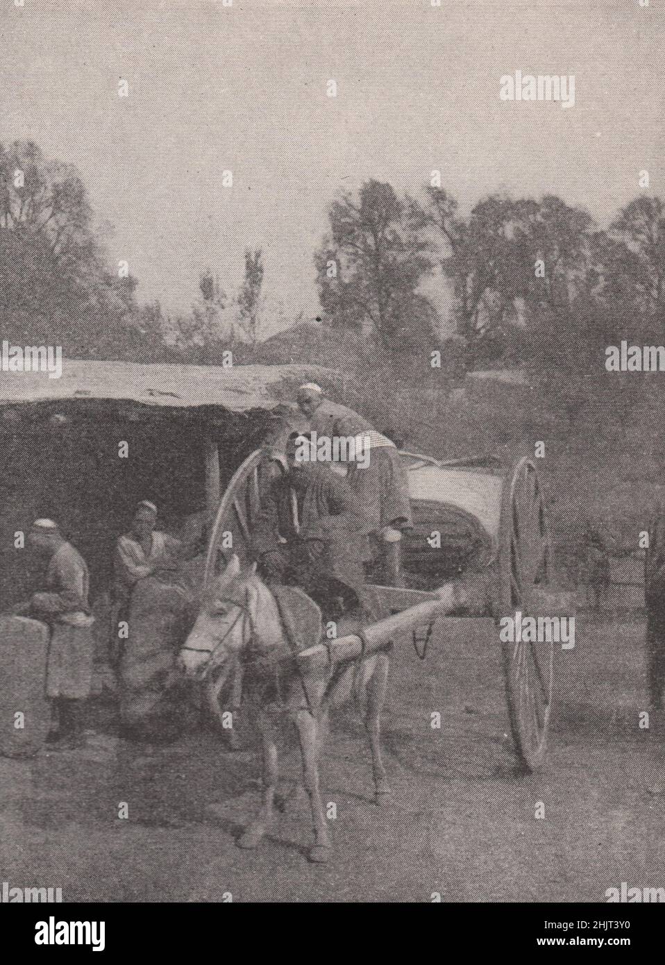 Araba, or native cart, of Sin-Kiang. Xinjiang. Central Asia (1923) Stock Photo