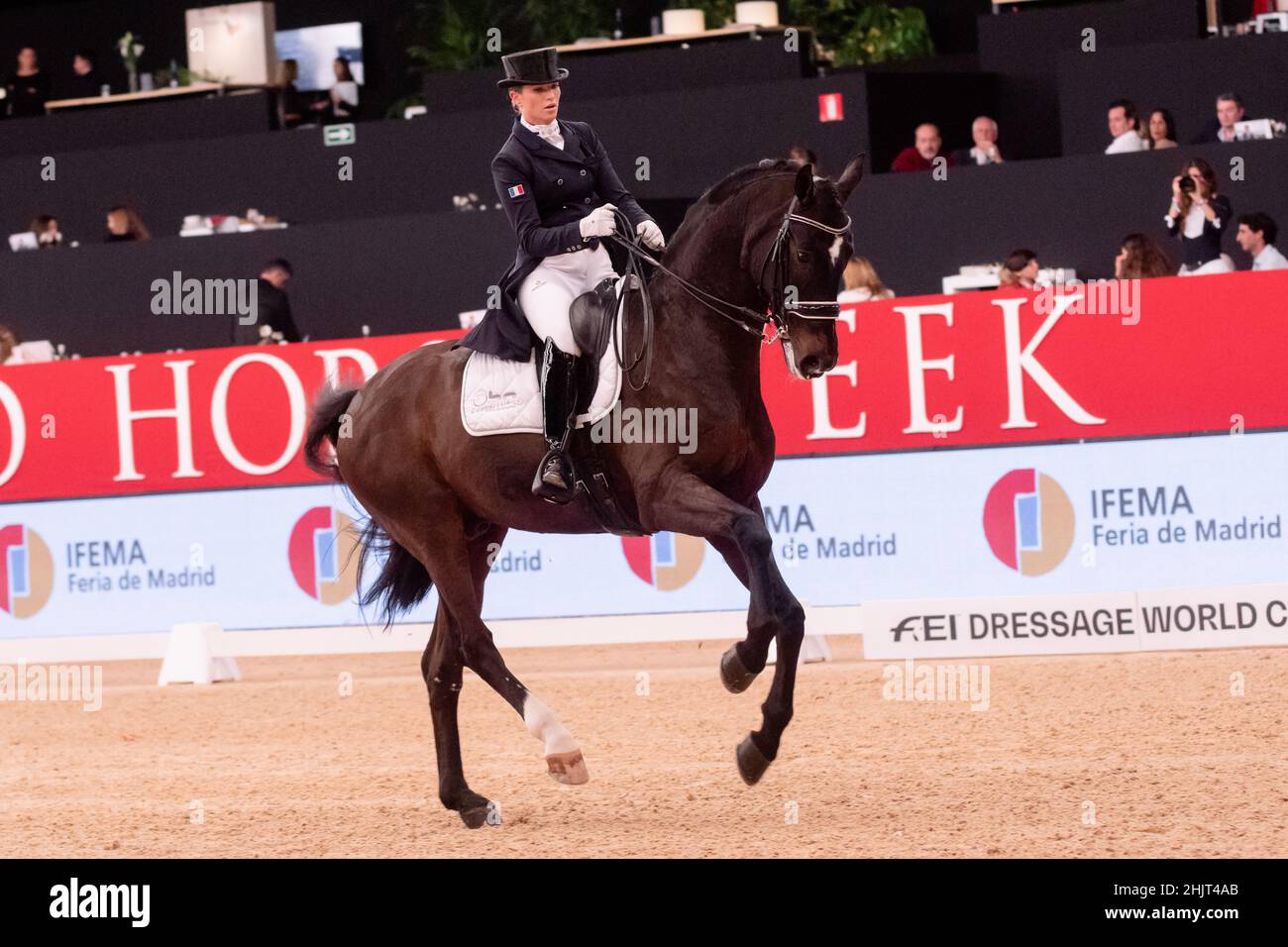 Morgan Barbançon (FRA) & Sir Donnerhall II Old during Longines FEI World Cup on November 29 2019 in Madrid Horse Week, Spain Stock Photo