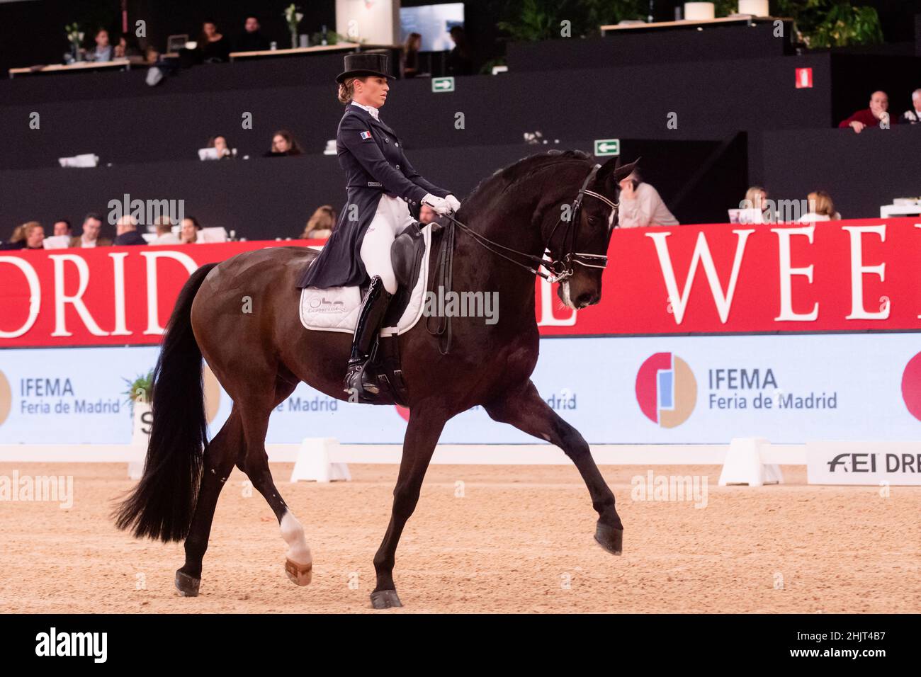 Morgan Barbançon (FRA) & Sir Donnerhall II Old during Longines FEI World Cup on November 29 2019 in Madrid Horse Week, Spain Stock Photo