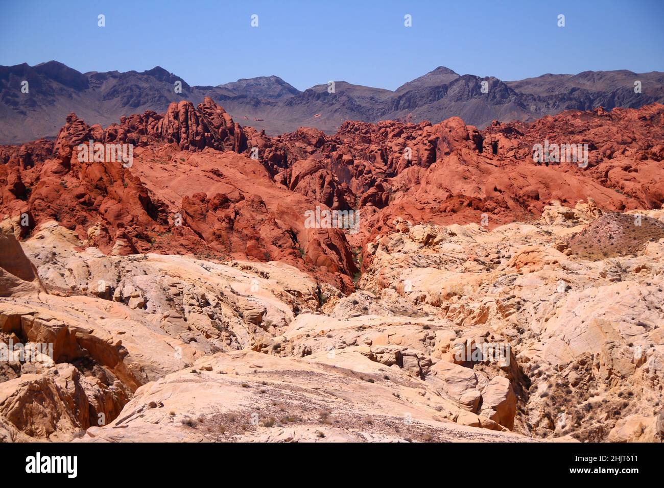 The landscape of various red and pink rocks with the mountains on the back in the Valley of Fire State Park in Nevada Stock Photo