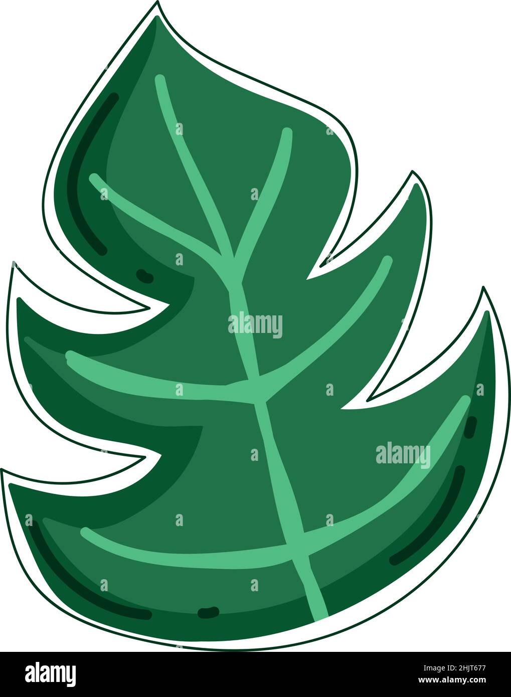 tropical exotic leaf Stock Vector Image & Art - Alamy
