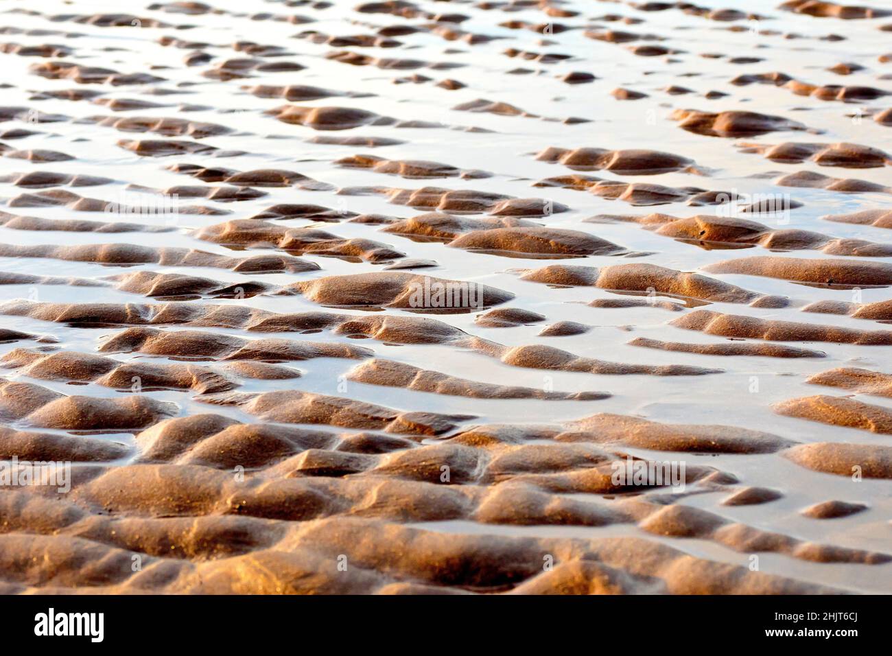 A low level shot of the ripples created in the sands of a beach with ...