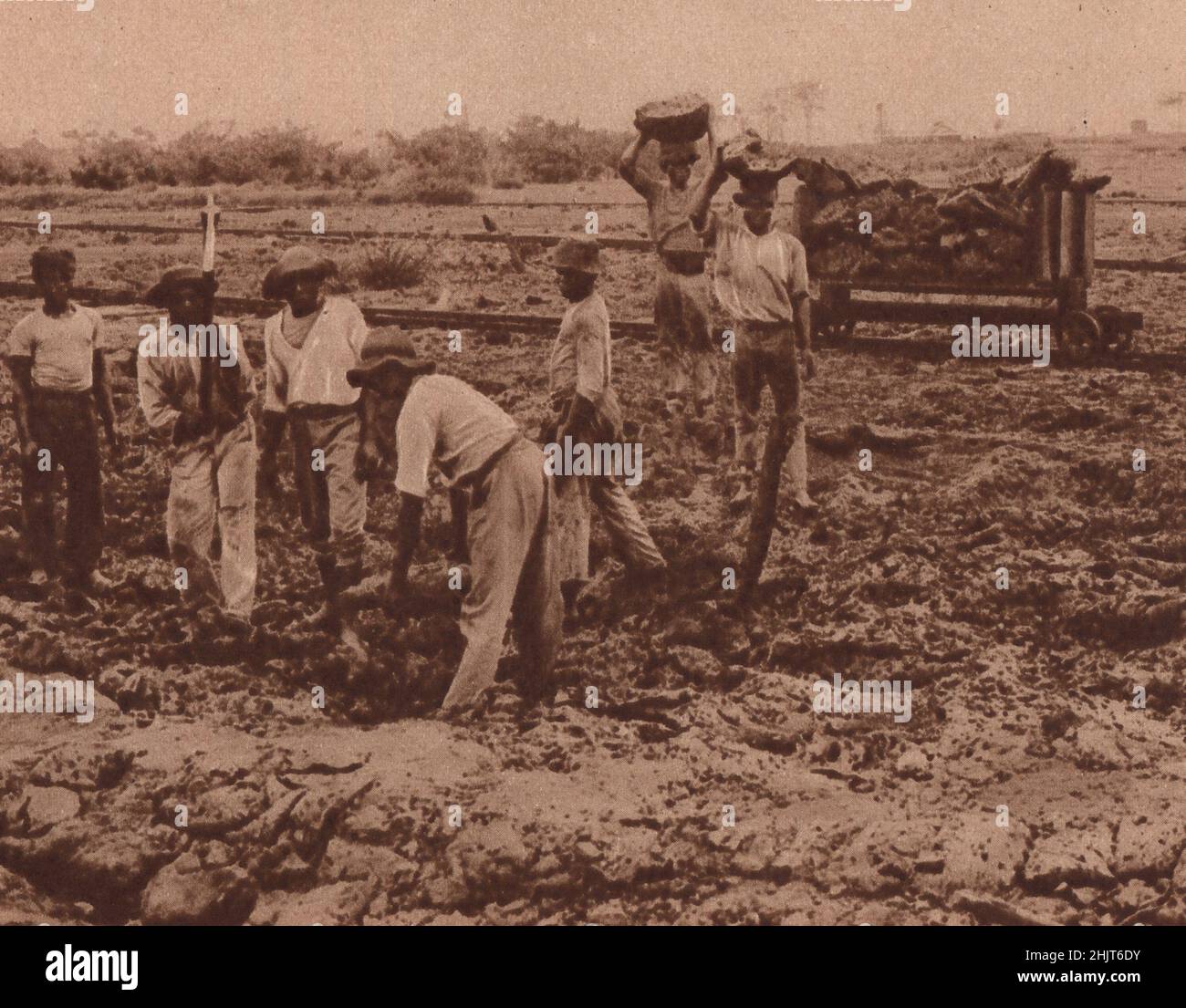 Trinidad's outstanding importance for the British Empire lies in its famous 'lake' of Pitch, or asphalt, near Brea. West Indies (1923) Stock Photo