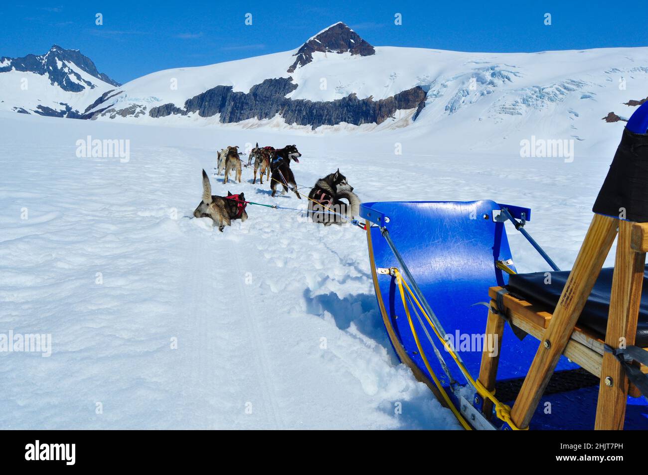 Musher camp on top of Mendenhall Glacier in Juneau Icefield, Alaska Stock Photo
