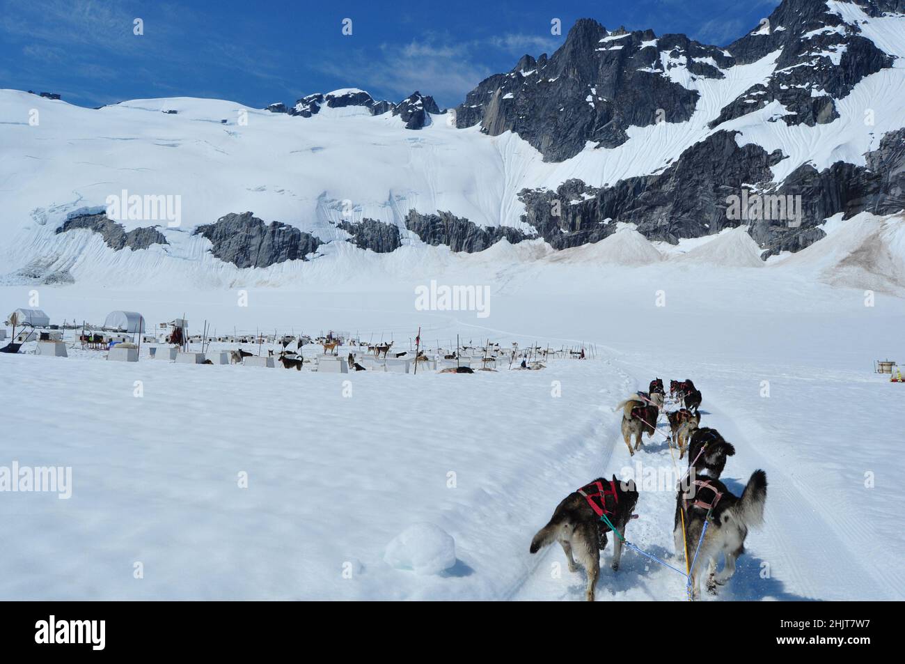 Musher camp on top of Mendenhall Glacier in Juneau Icefield, Alaska Stock Photo