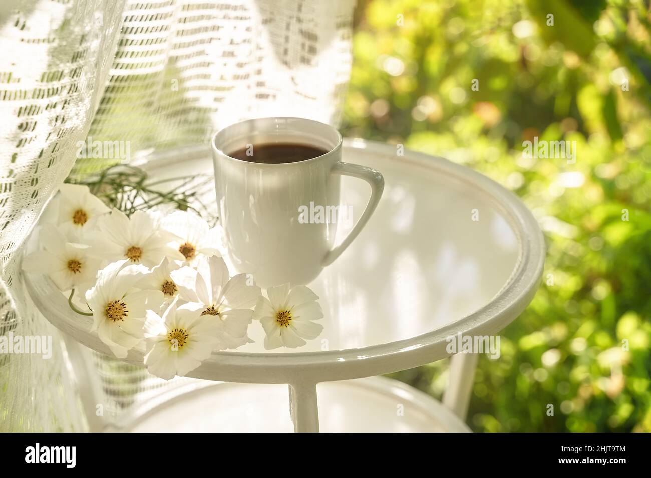 https://c8.alamy.com/comp/2HJT9TM/beautiful-porcelain-coffee-cup-with-white-flowers-on-glass-table-in-summer-garden-in-sunlight-top-view-copy-space-summer-drinks-concept-2HJT9TM.jpg