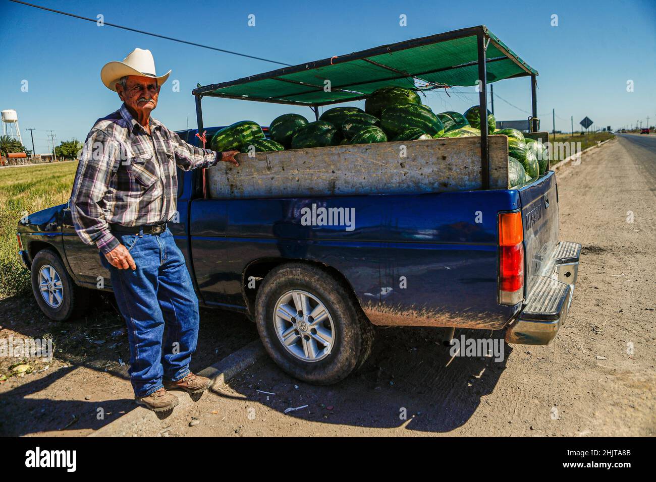 An older farmer man who dresses as a cowboy, sells watermelons from the  harvest in the town called Ejido June 5 located between the Mayo  municipalities of Etchojoa and Navojoa in Sonora