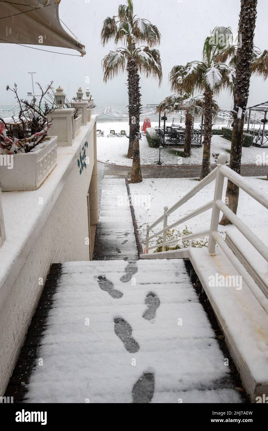 Heavy snowfall on the Mediterranean coast. Antalya, Turkey. Palms, ficuses  and green plants are covered with snow. Beaches and cafes are empty Stock  Photo - Alamy