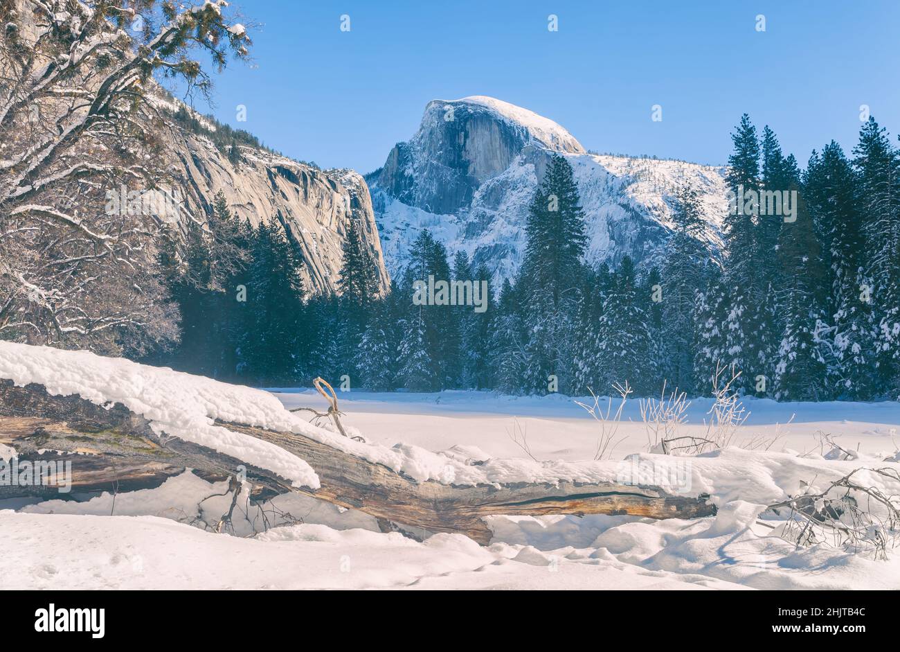 Cook Meadow covered with snow, with view of the iconic Half Dome Peak, in Yosemite National Park, California, USA. Stock Photo