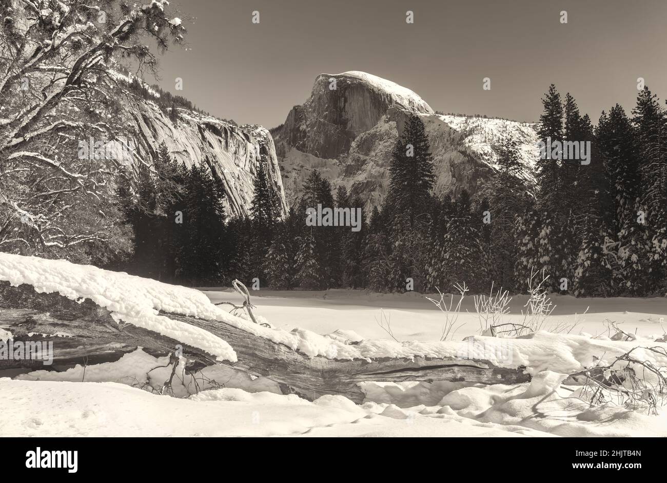 Cook Meadow covered with snow, with view of the iconic Half Dome Peak, in Yosemite National Park, California, USA. Stock Photo