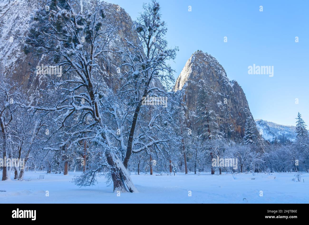Cook Meadow covered with snow, with view of the Cathedral Rock in background, Yosemite National Park, California, USA. Stock Photo