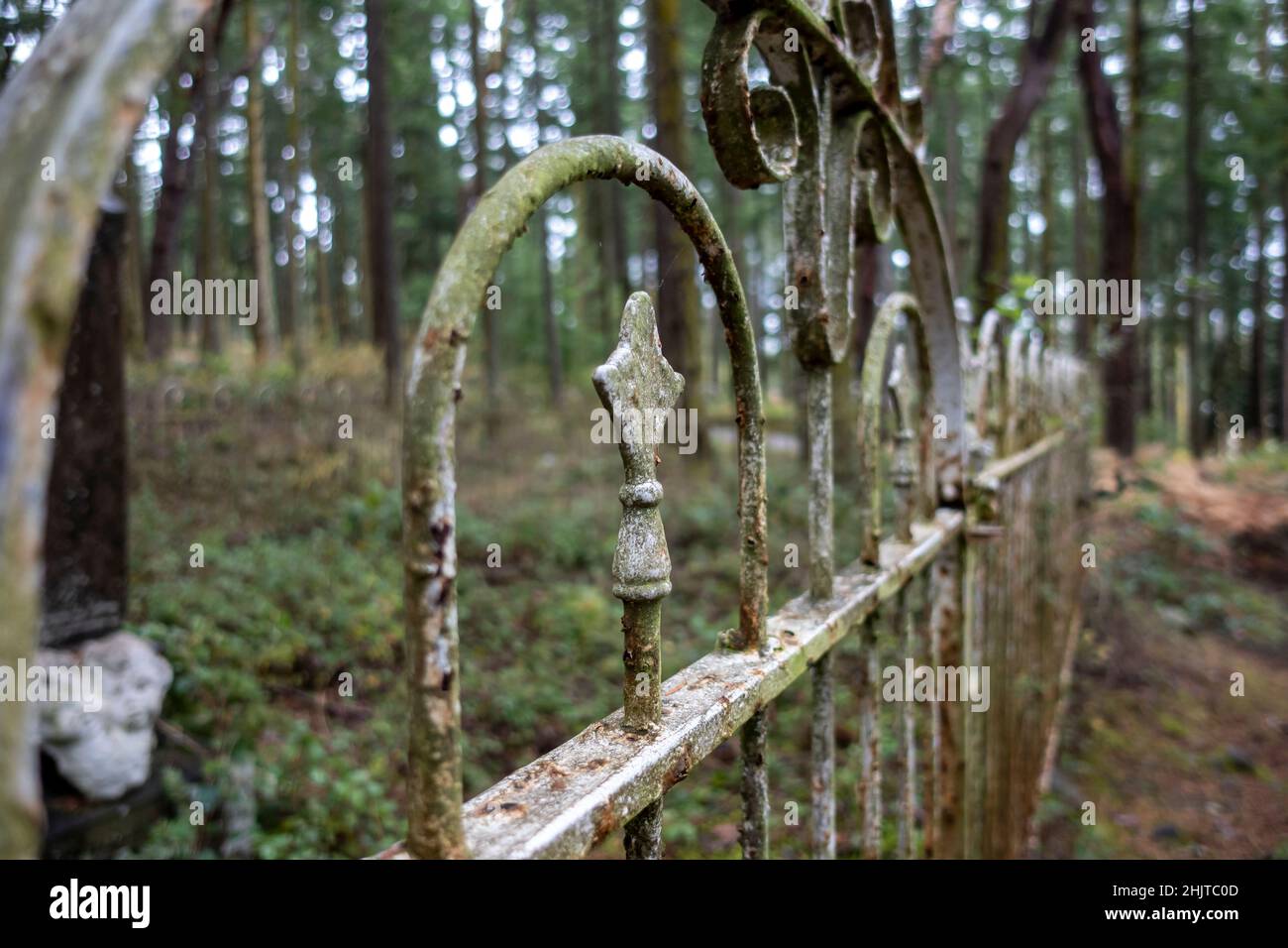 Selective focus on a rusted, wrought iron fence in a large, forested cemetery plot in the Pacific Northwest Stock Photo