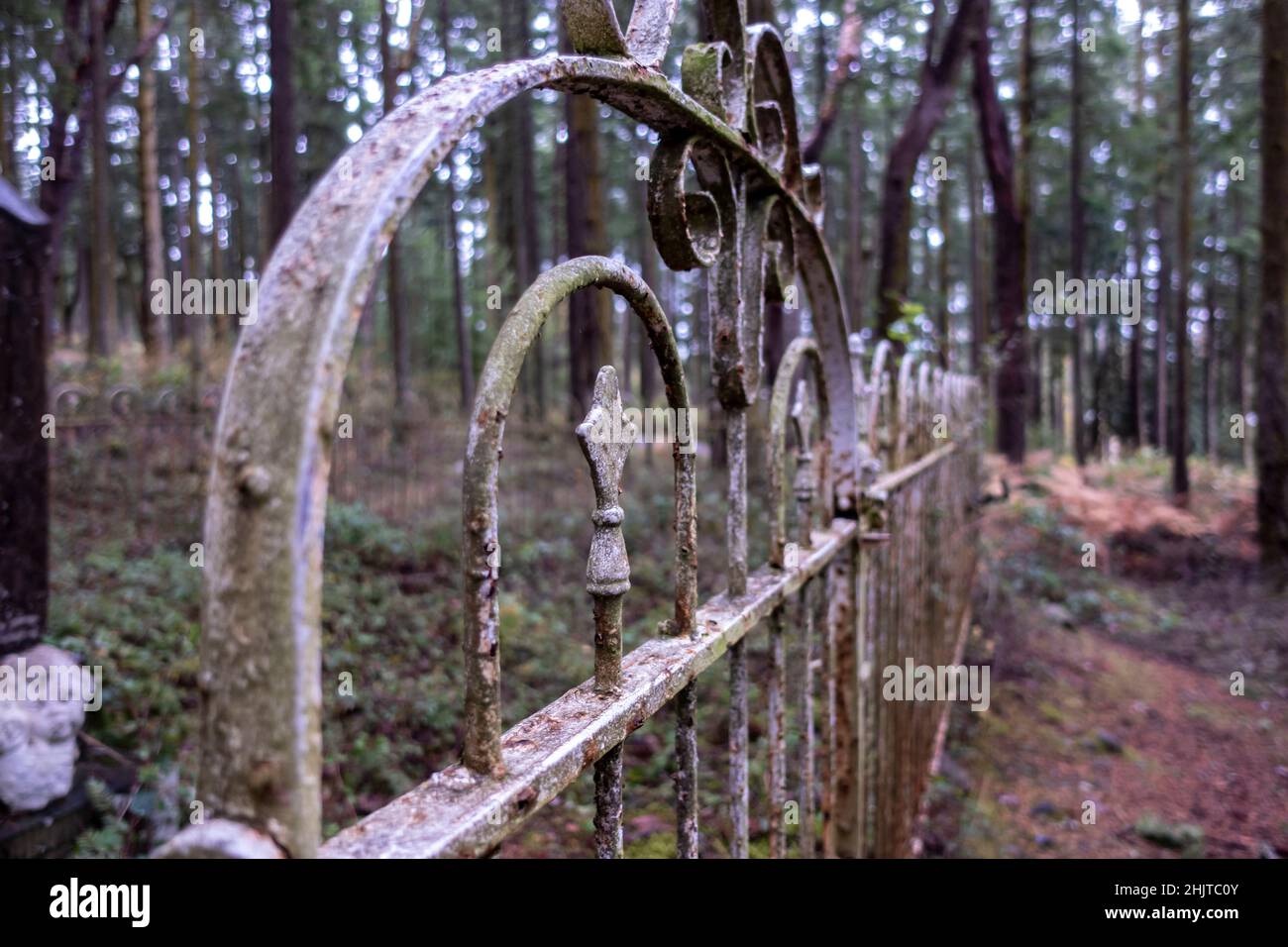 Selective focus on a rusted, wrought iron fence in a large, forested cemetery plot in the Pacific Northwest Stock Photo