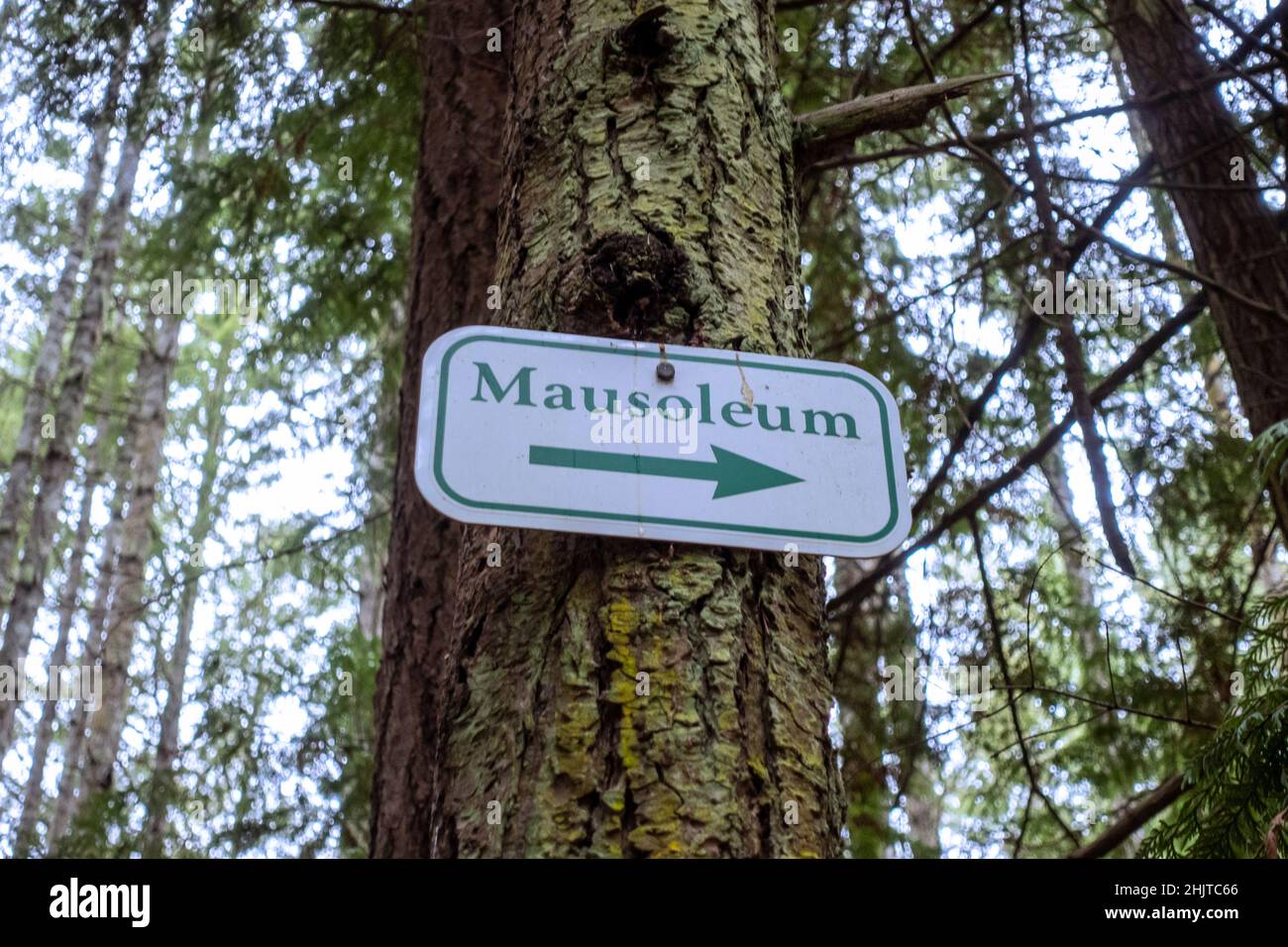 Angled view of a directional arrow sign, pointing the direction to a mausoleum deep in a forested area in the San Juan Islands Stock Photo