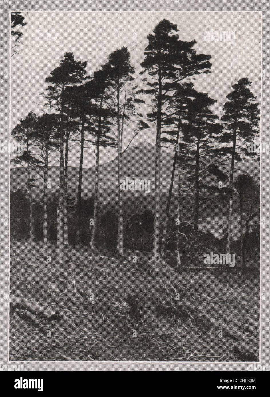 and Goat Fell, Brodick. Buteshire (1913 Stock Photo Alamy