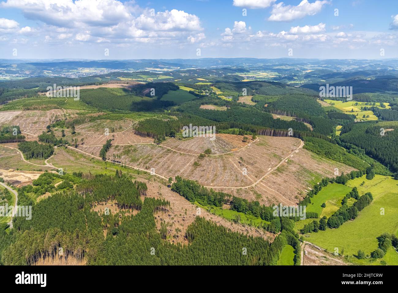 Aerial view, forest area with forest damage and clear-cutting, Oberveischede, Olpe, Sauerland, North Rhine-Westphalia, Germany, waste, tree death, bar Stock Photo