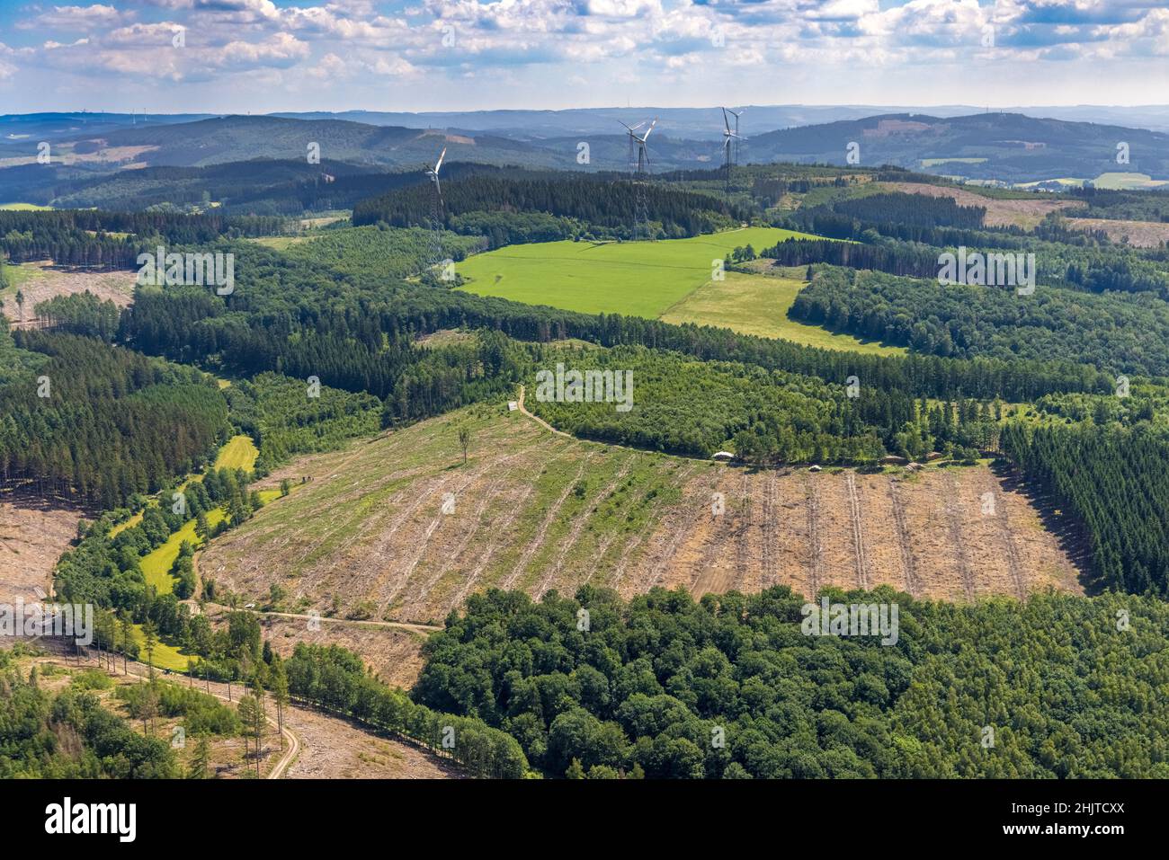Aerial view, forest area with forest damage and clear-cutting, Neuenkleusheimer Wald, Rehringhausen, Olpe, Sauerland, North Rhine-Westphalia, Germany, Stock Photo
