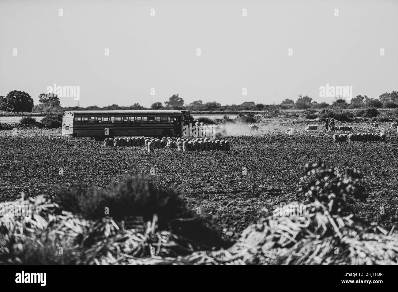Cultivo de siembra Black and White Stock Photos & Images - Alamy