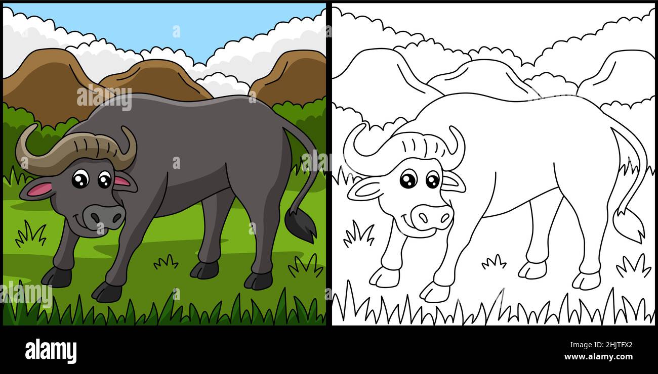 Buffalo Coloring Page Vector Illustration Stock Vector Image & Art - Alamy