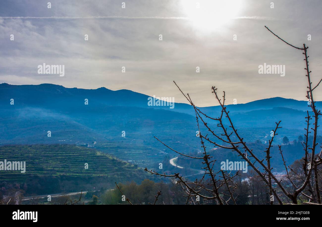 Winter scene full of cherry tree buds with Jerte Valley mountains at bottom, Extremadura, Caceres, Spain Stock Photo