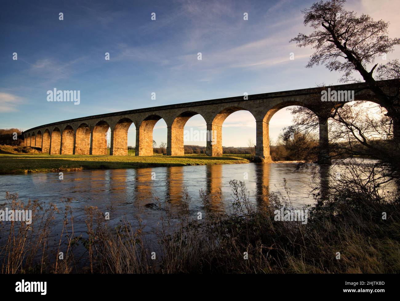 Arthington viaduct, seen from the foliage on the bank of the River Wharfe Stock Photo