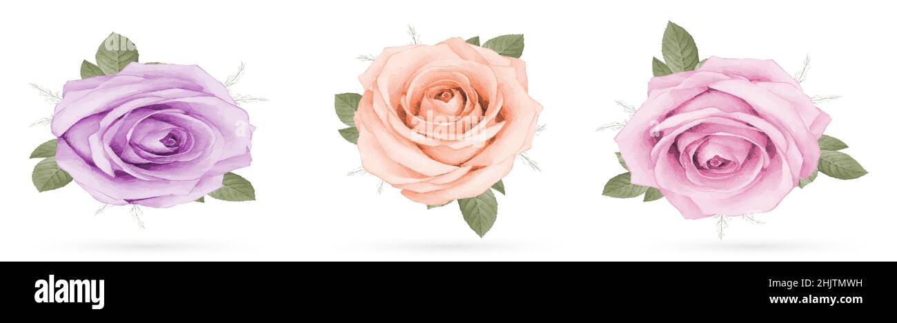 Collection of rose bouquet watercolor isolated on white background ...