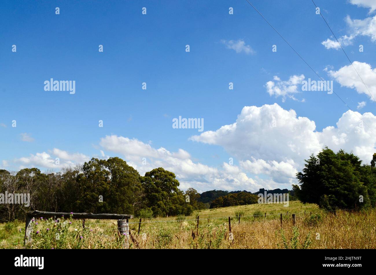 A field in rural New South Wales, Australia Stock Photo